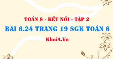 Bài 6.24 trang 19 Toán 8 Kết nối tri thức Tập 2